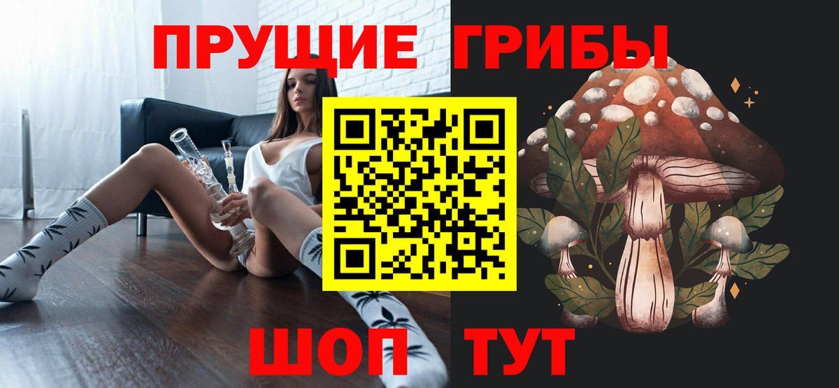 Донской  Галлюциногенные грибы MAGIC MUSHROOMS  Вход с VPN 