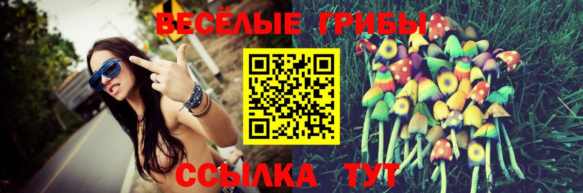 Псилоцибиновые грибы MAGIC MUSHROOMS Донской